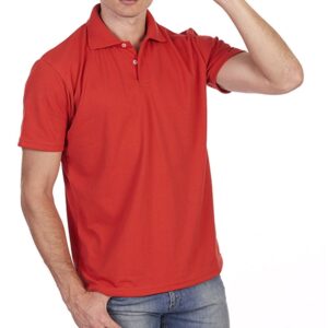 BASICOS